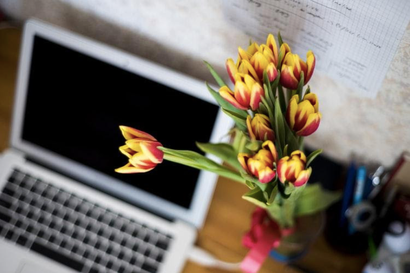 All About Email Marketing for Florists