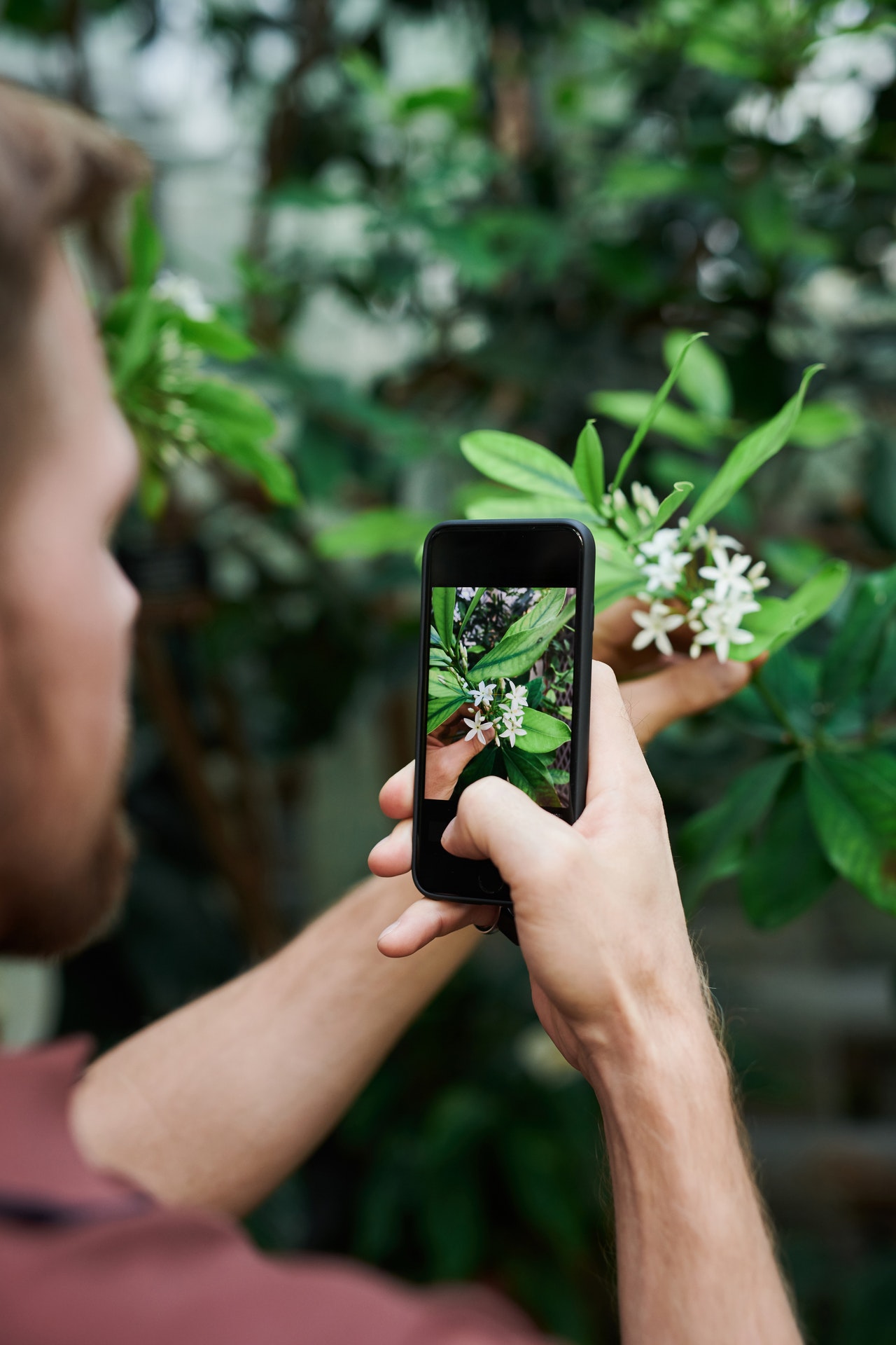 How to Use Instagram to Increase Sales Within the Floral Industry