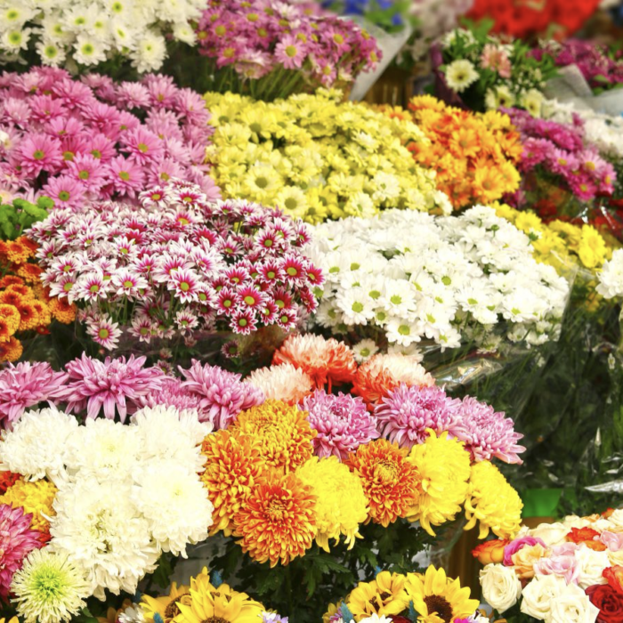 How to Choose the Best Flower Wholesalers