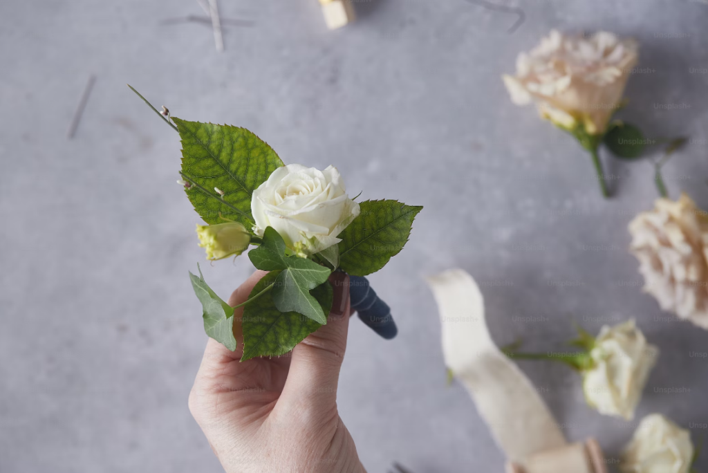 a person holding a white rose