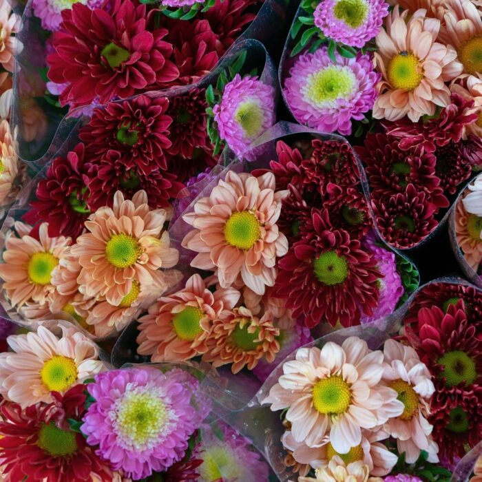 The Symbolism of Thanksgiving Flowers: What Each Bloom Represents