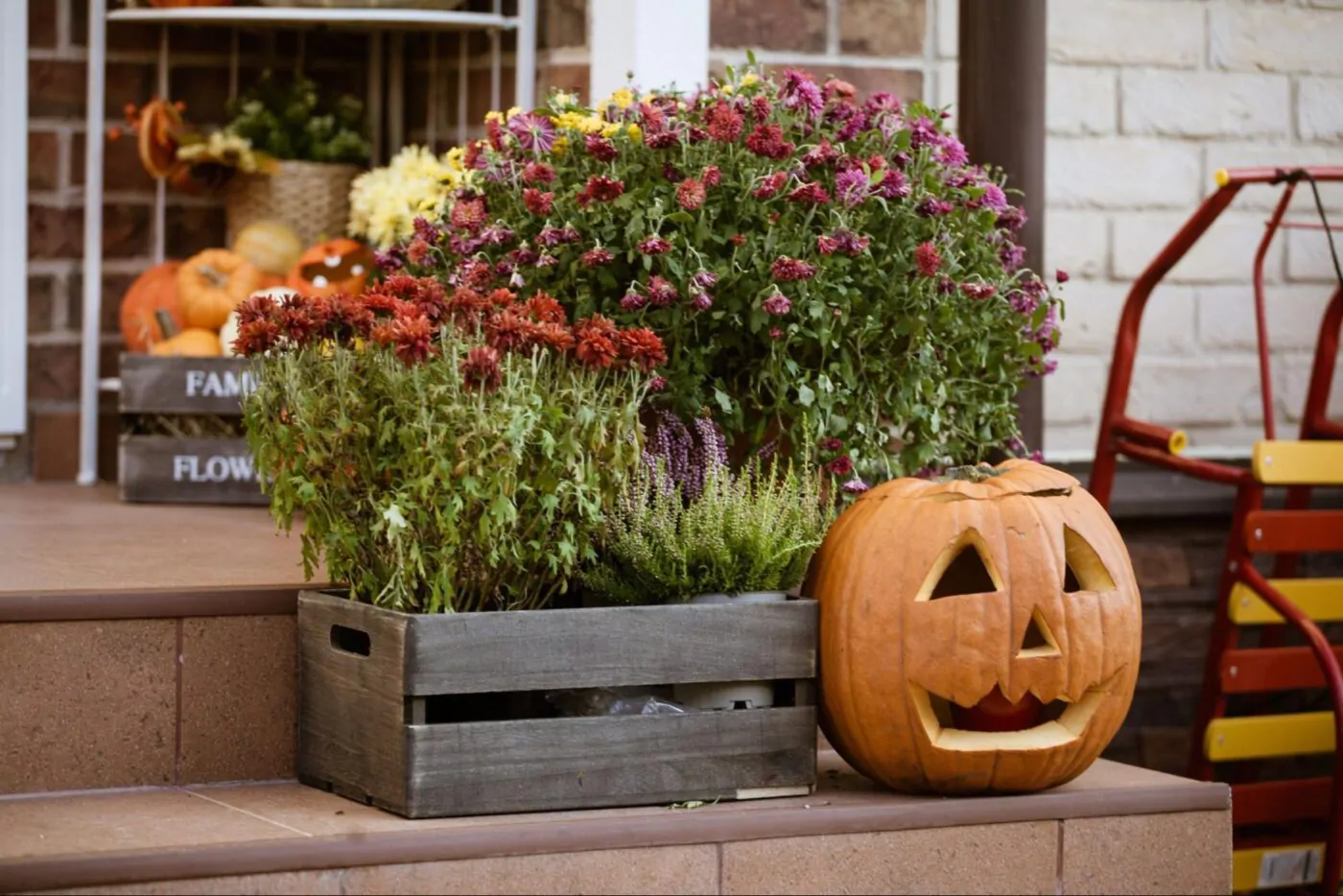 Best Bulk Flowers for Halloween-Themed Events