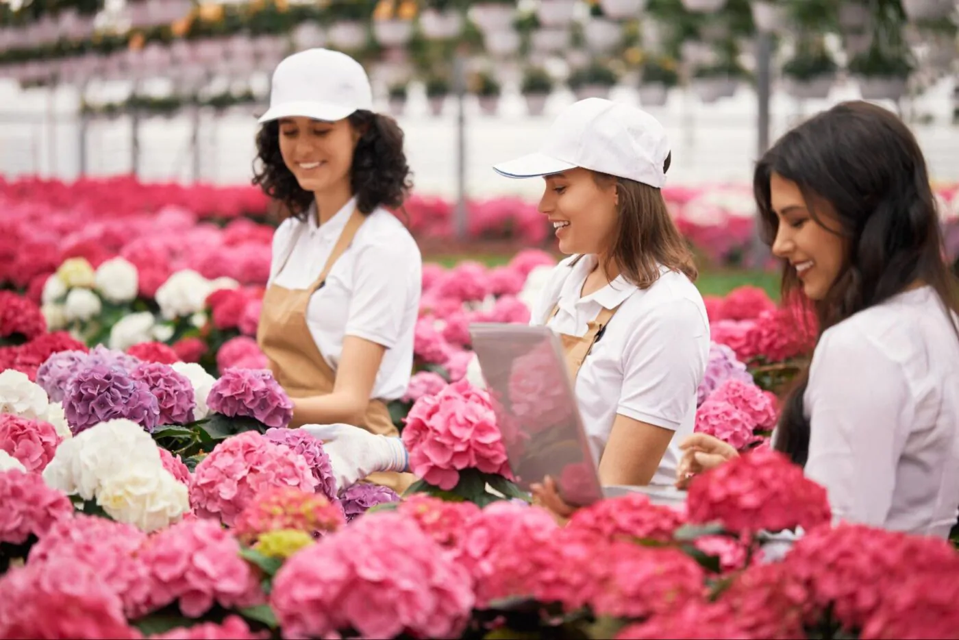 Miami Wholesale Flower Markets and Distributors Guide