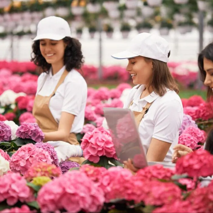 Miami Wholesale Flower Markets and Distributors Guide