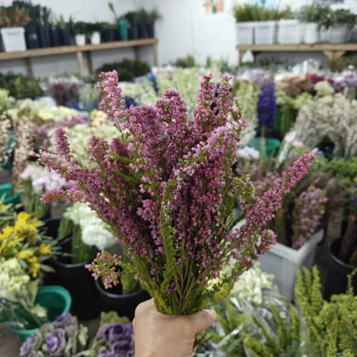 How to Source Wholesale Floral and Supplies for Corporate Functions