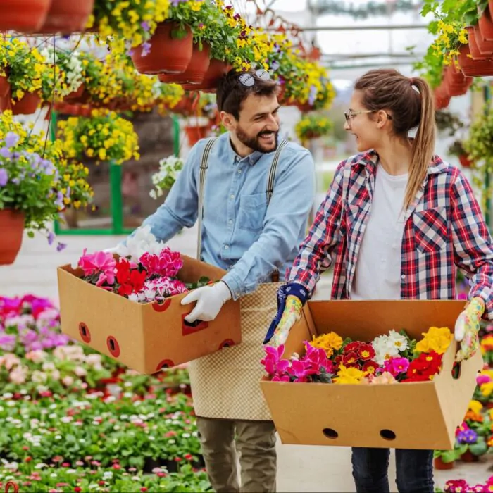 How Businesses Can Save Big with Year-Round Wholesale Flowers Miami